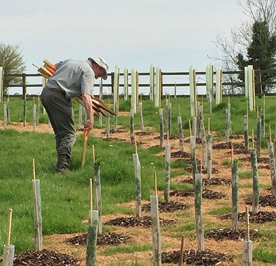 Bedstraw Farm, Chipping Norton