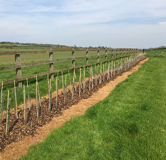 Bedstraw Farm, Chipping Norton