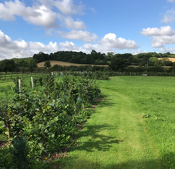 Bedstraw Farm, Chipping Norton