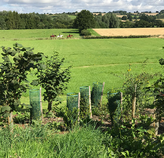 Bedstraw Farm, Chipping Norton