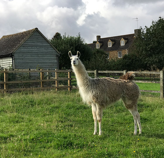 Bedstraw Farm, Chipping Norton