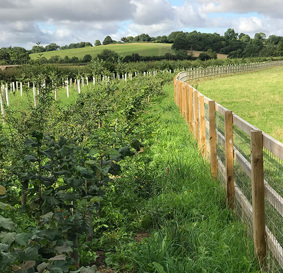 Bedstraw Farm, Chipping Norton