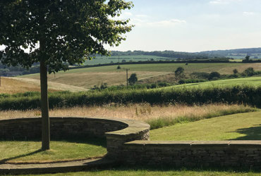 tree and curved wall