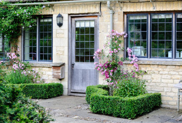 exterior house box hedges entrance