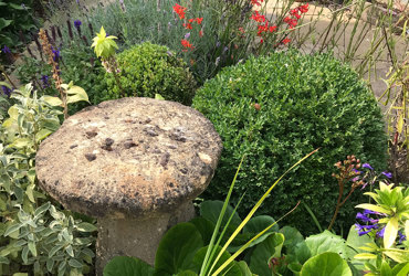 stone mushroom details